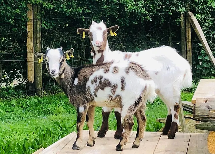 Hébergement de vacances De